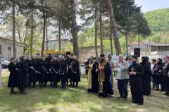 ყიფიანობა